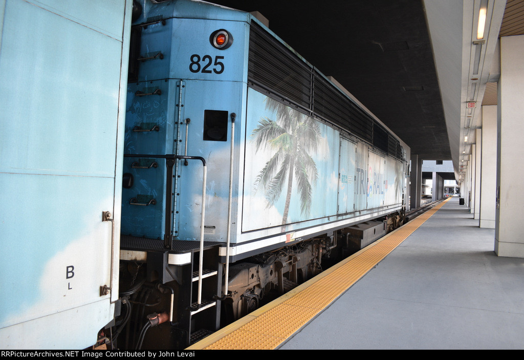 Rear side view of Tri-Rail BL36PH # 825 at Miami Central Station 